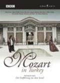 Another movie Mozart in Turkey of the director Mick Csaky.